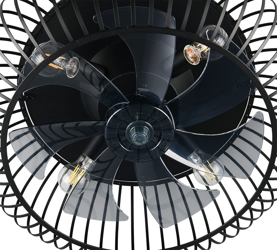 Fantiluxe Agnes Ventilador de techo, Ø61 cm, Mando a distancia, Negro