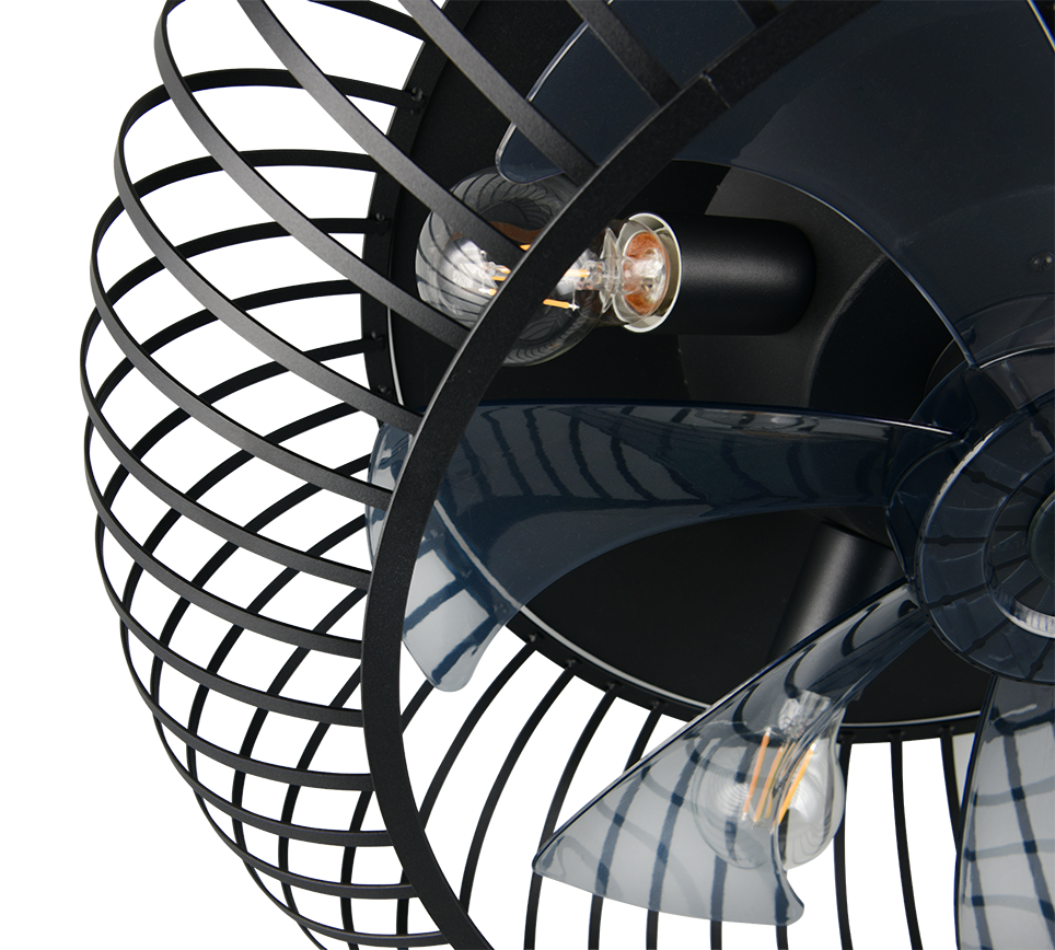 Fantiluxe Agnes Ventilador de techo, Ø61 cm, Mando a distancia, Negro