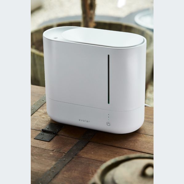 Humidificador – Humedad Óptima para un Ambiente Saludable