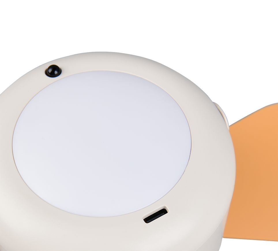 Fantiluxe Anders Ventilador de techo, Ø27 cm, Mando a distancia, Blanco