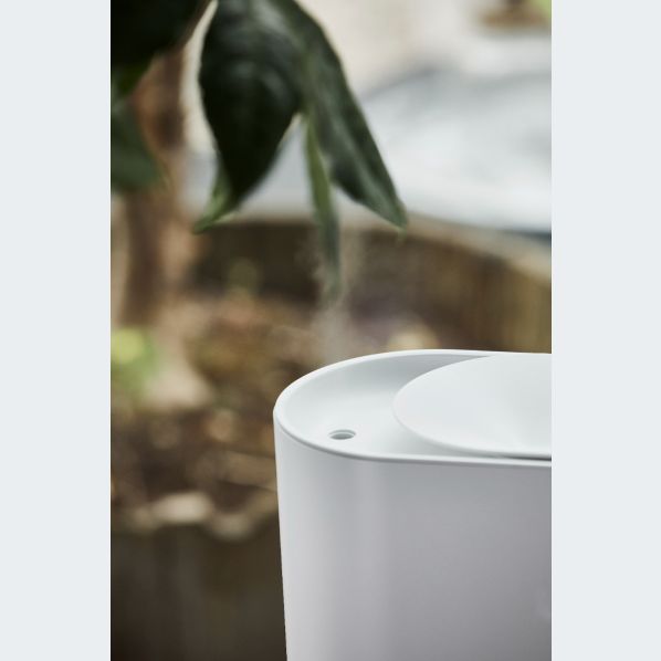 Humidificador – Humedad Óptima para un Ambiente Saludable